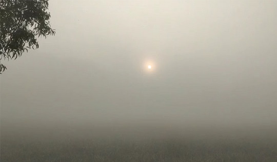 image-here